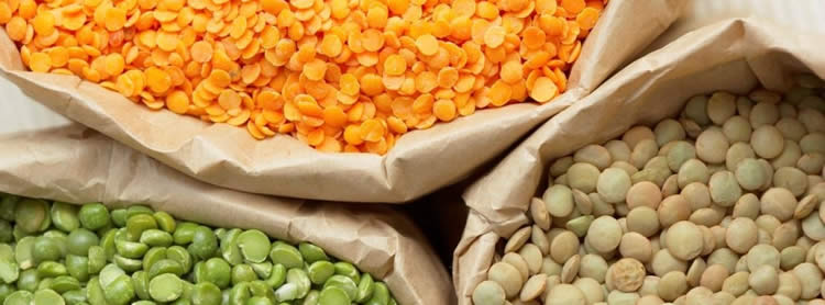 lentils for fat loss and muscle building